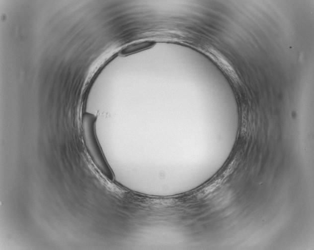 X0000087021196200705071502