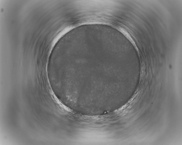 X0000087021197200705071502