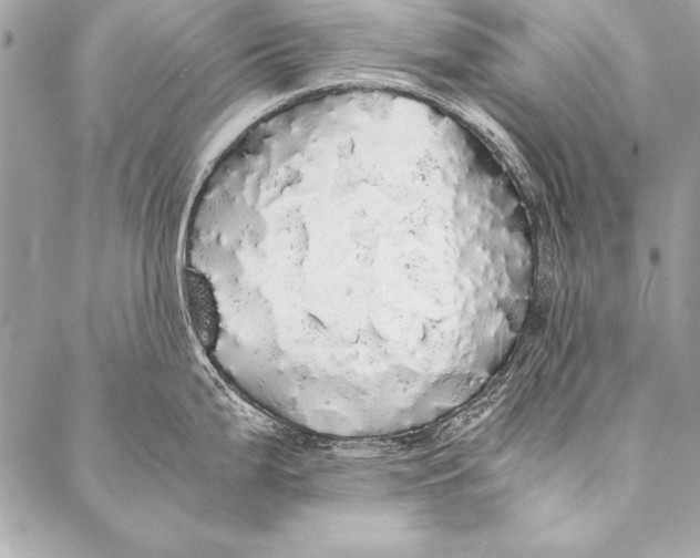 X0000087021199200705071502