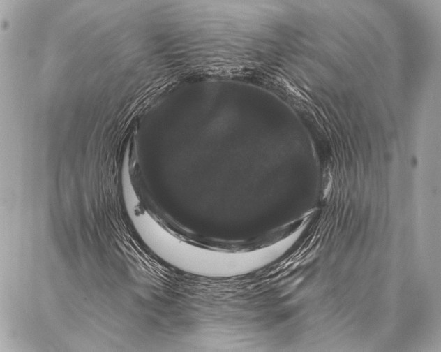 X0000087021202200705071501