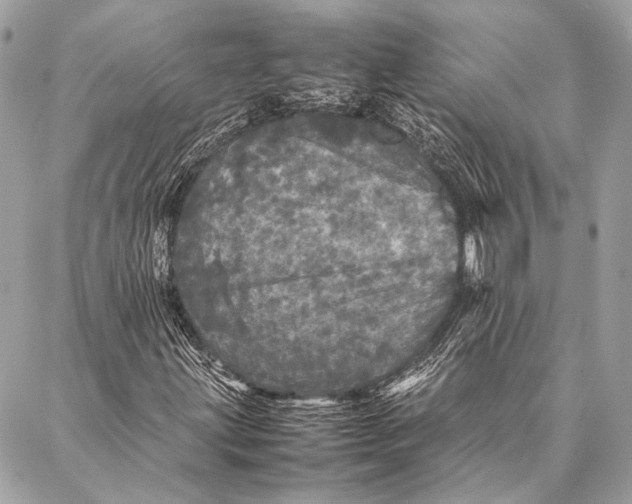 X0000087021203200705071501