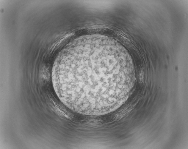 X0000087021204200705071501