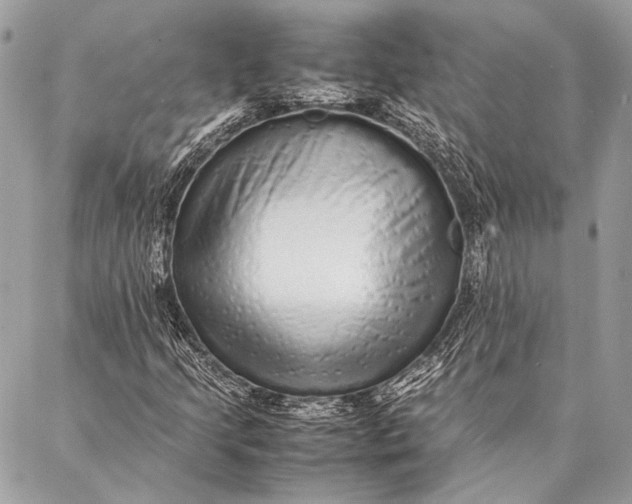 X0000087021205200705071501