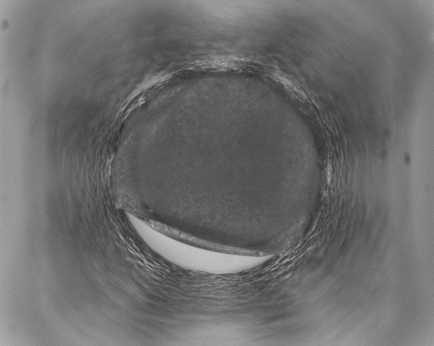 X0000087021206200705071501