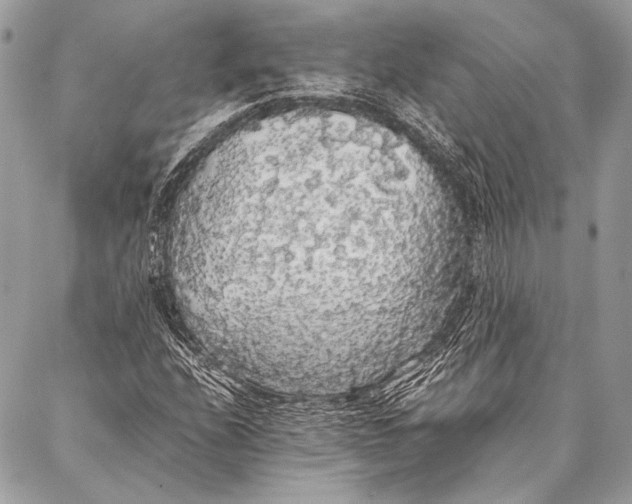 X0000087021208200705071501