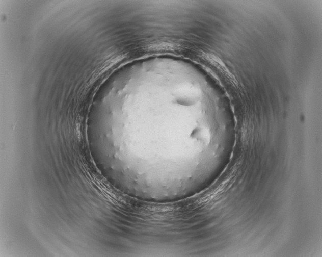 X0000087021209200705071501