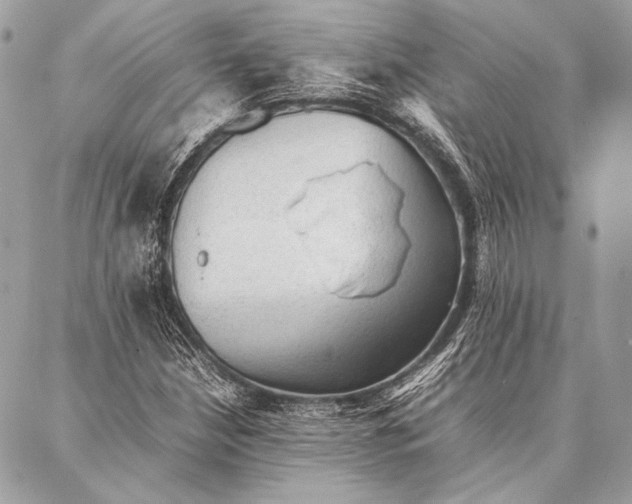 X0000087021210200705071501