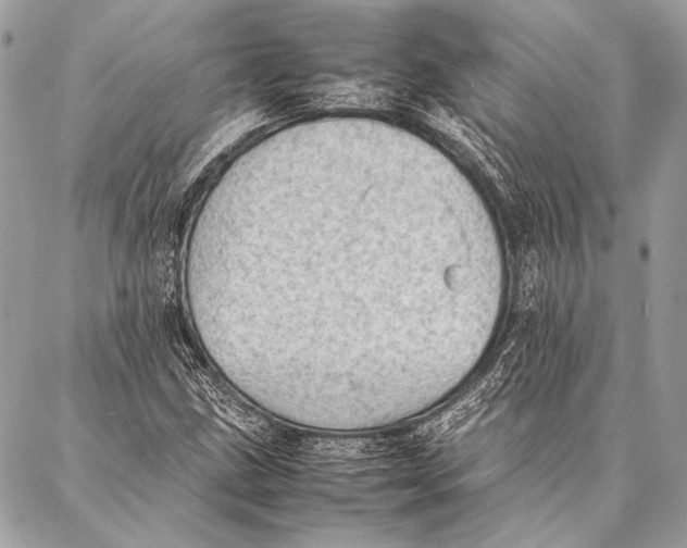 X0000087021211200705071501