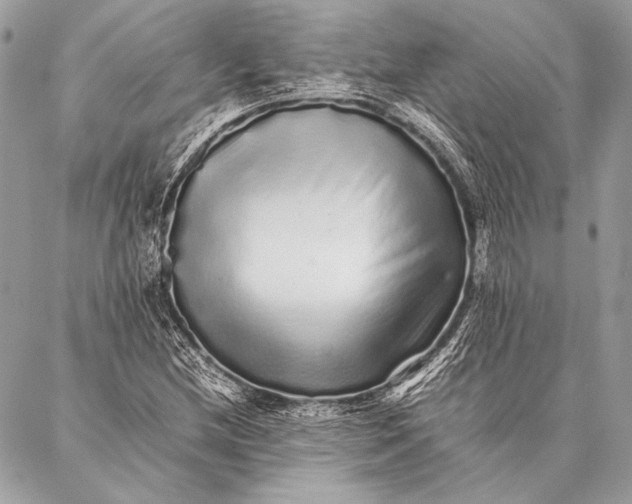 X0000087021212200705071501