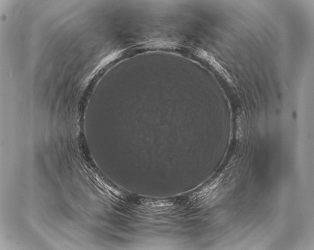 X0000087021213200705071501