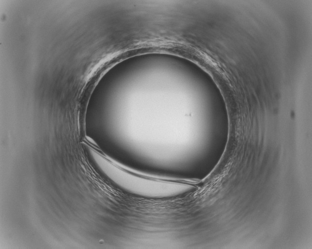 X0000087021214200705071501