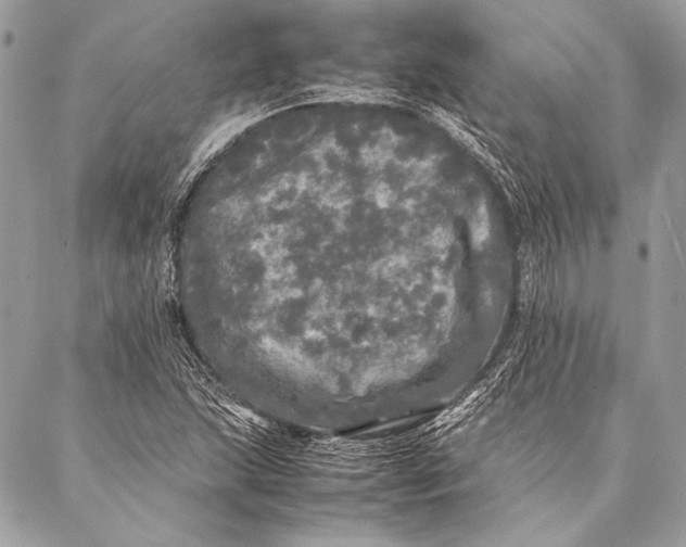 X0000087021215200705071501