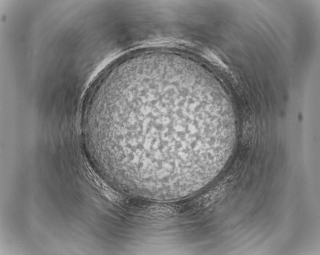 X0000087021216200705071501