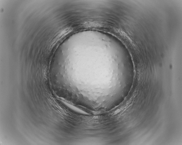 X0000087021217200705071501