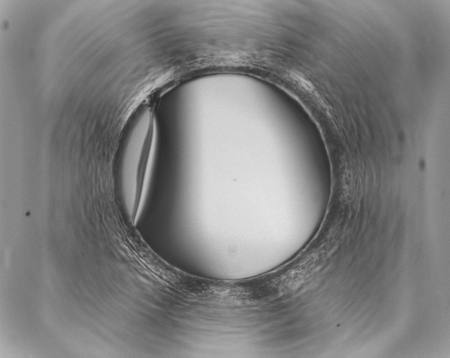 X0000087021218200705071501