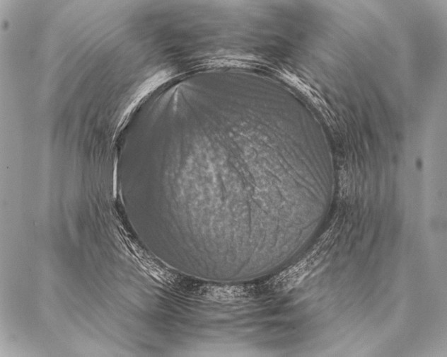 X0000087021219200705071501