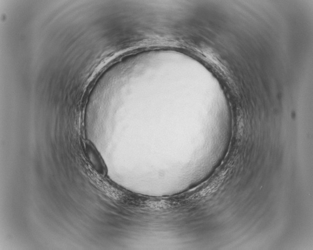 X0000087021220200705071501