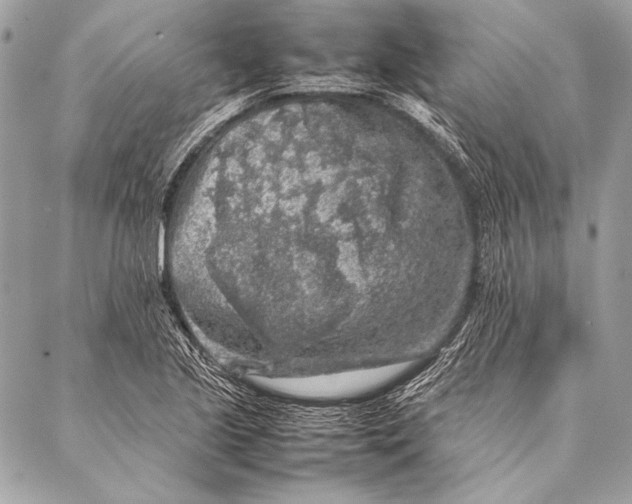 X0000087021221200705071501