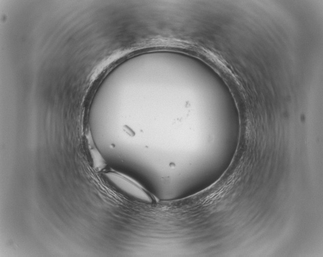 X0000087021222200705071501