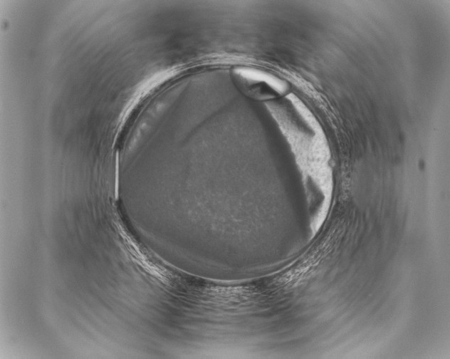 X0000087021223200705071501