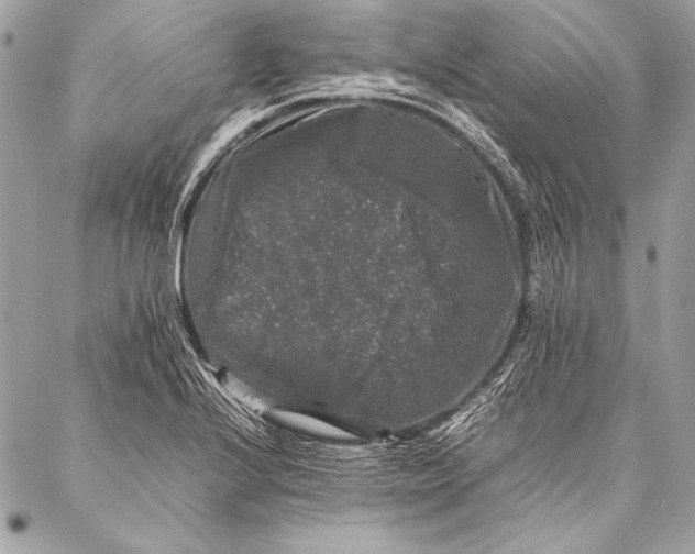 X0000087021224200705071501