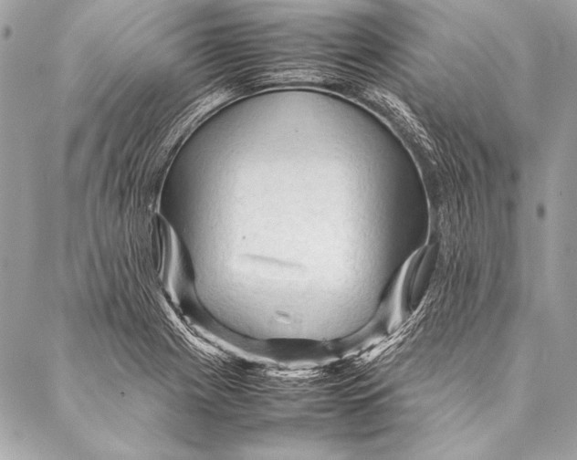 X0000087021225200705071501