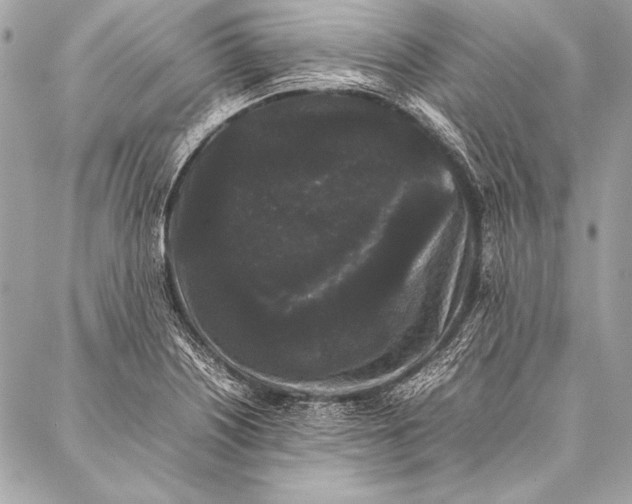 X0000087021226200705071501