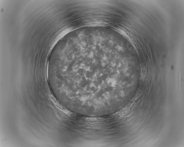 X0000087021227200705071501