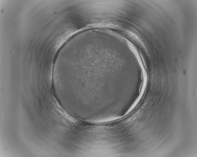 X0000087021228200705071501