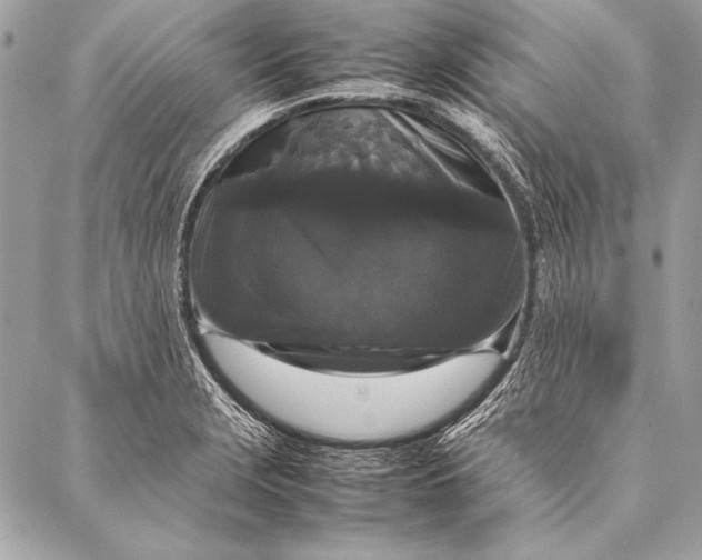 X0000087021229200705071501