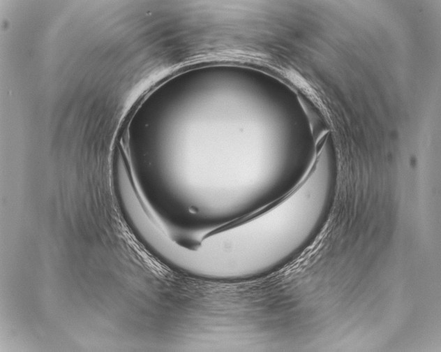 X0000087021230200705071501