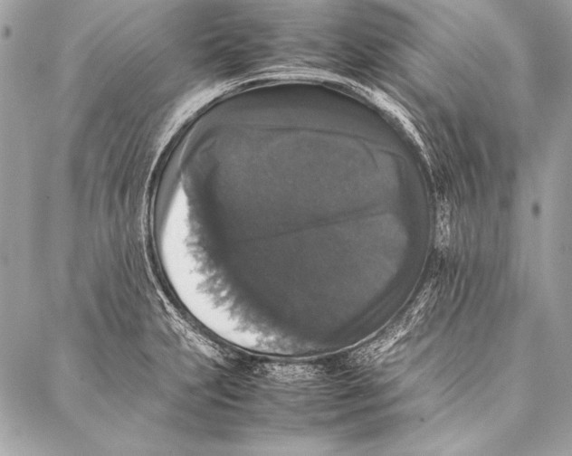 X0000087021231200705071501