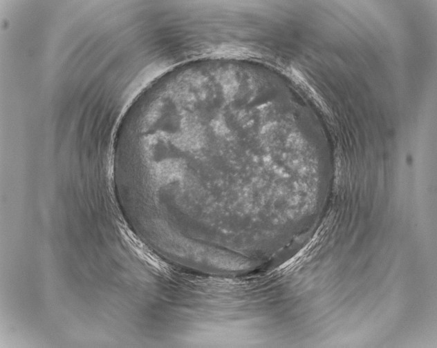 X0000087021232200705071501