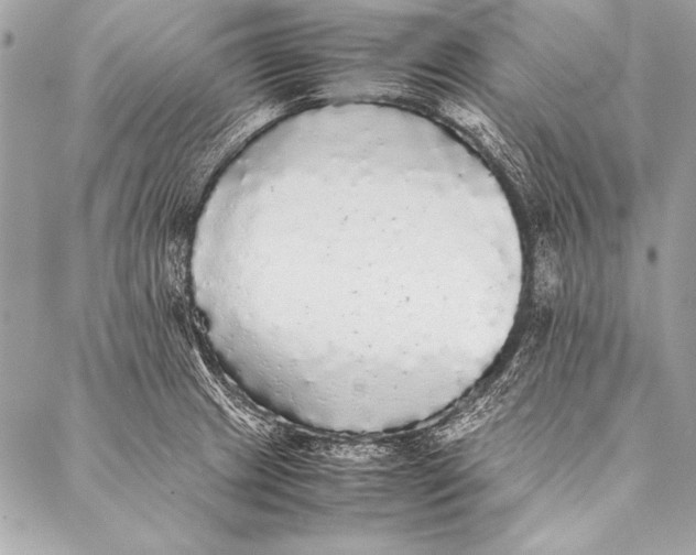 X0000087021233200705071501