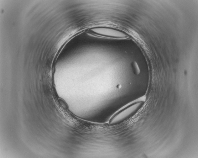 X0000087021234200705071501