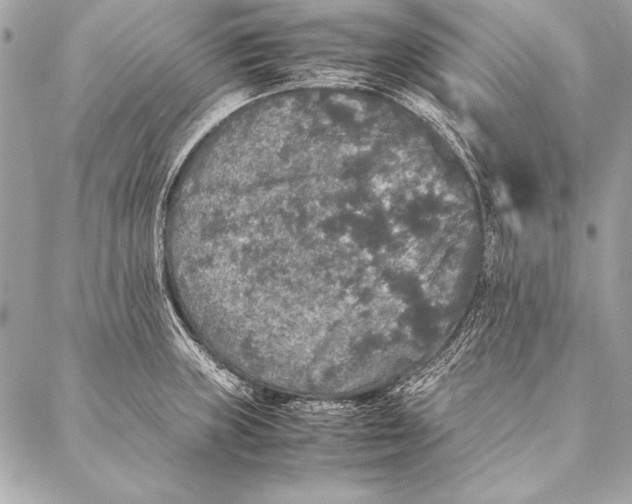 X0000087021235200705071501