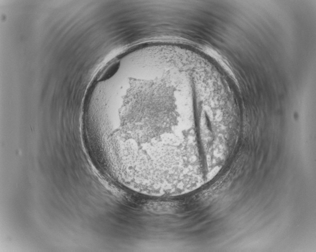 X0000087021237200705071501