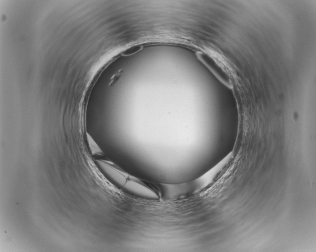 X0000087021238200705071501