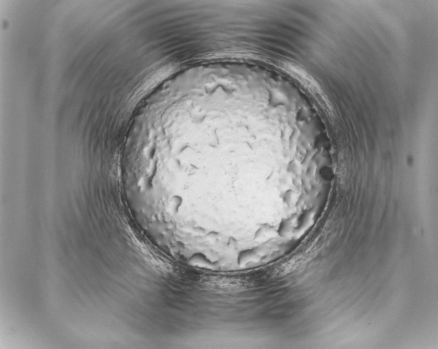 X0000087021241200705071502