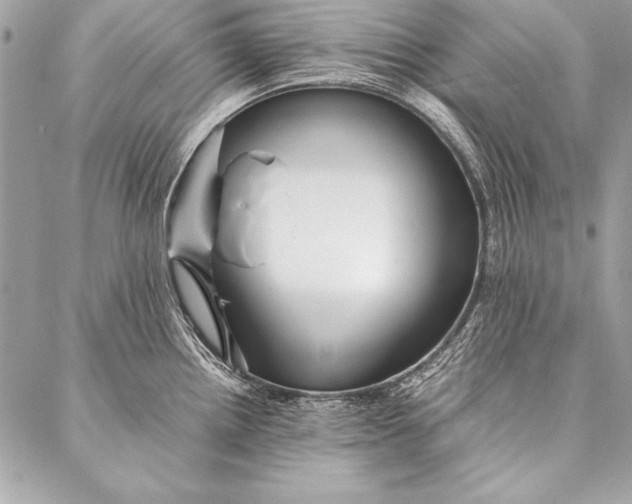 X0000087021242200705071502