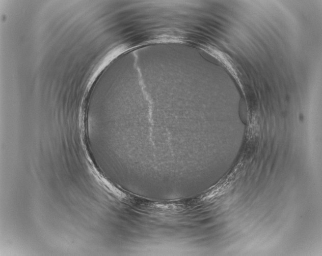 X0000087021243200705071502