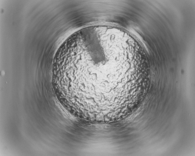 X0000087021244200705071502