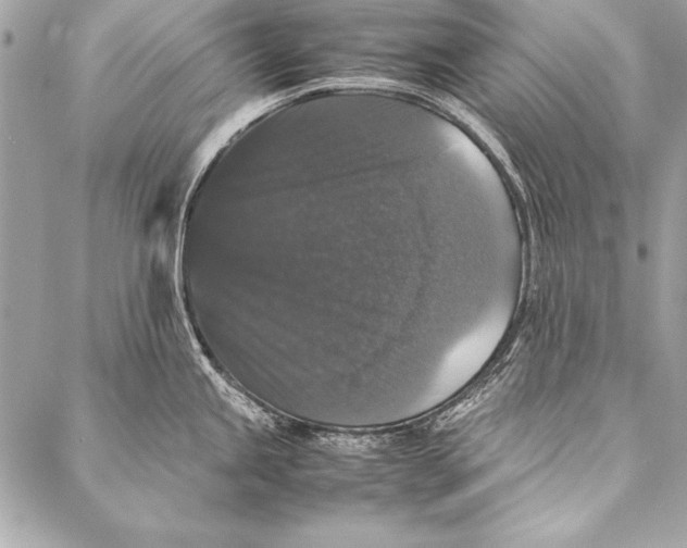 X0000087021245200705071502