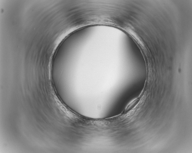 X0000087021246200705071502