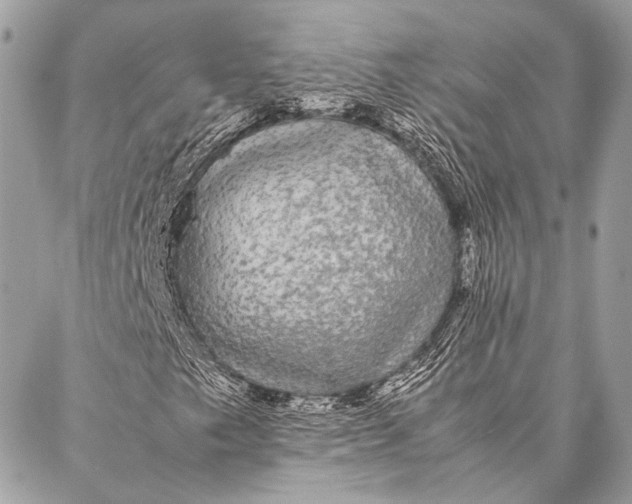 X0000087021249200705071501