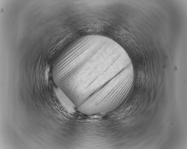 X0000087021250200705071501