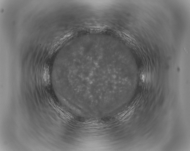 X0000087021252200705071501