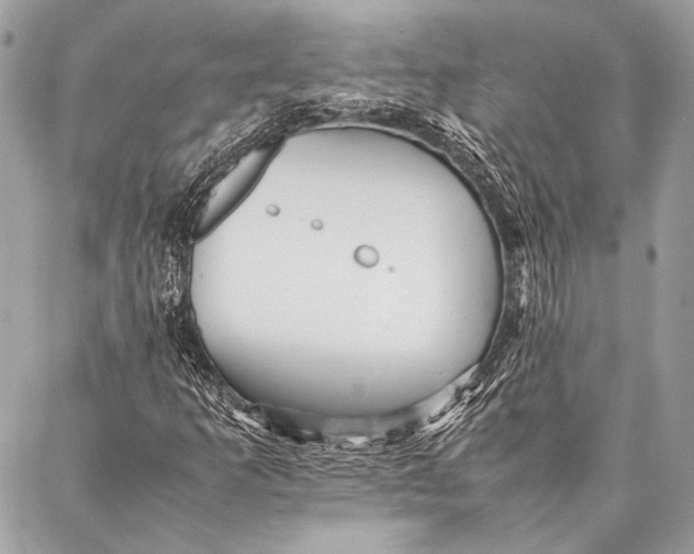 X0000087021253200705071501