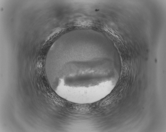 X0000087021254200705071501