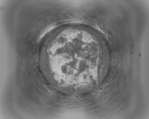 X0000087021255200705071501